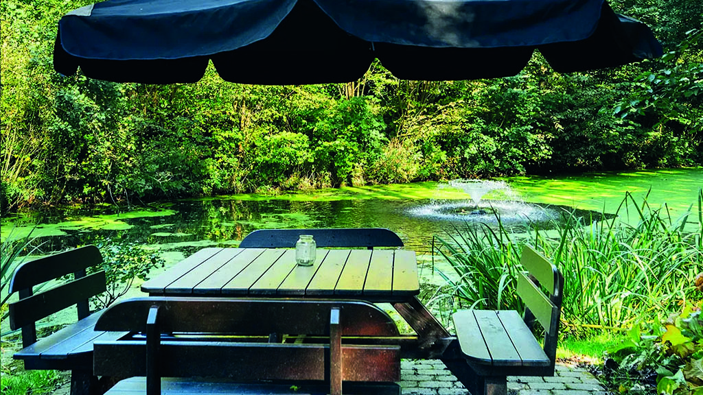 Tisch-Bank-Garnitur, überdacht von einem Sonnenschirm. Im Hintergrund ist ein kleiner See mit einem Springbrunnen zu sehen.