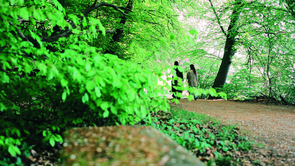 Two people walking on a path through a forest