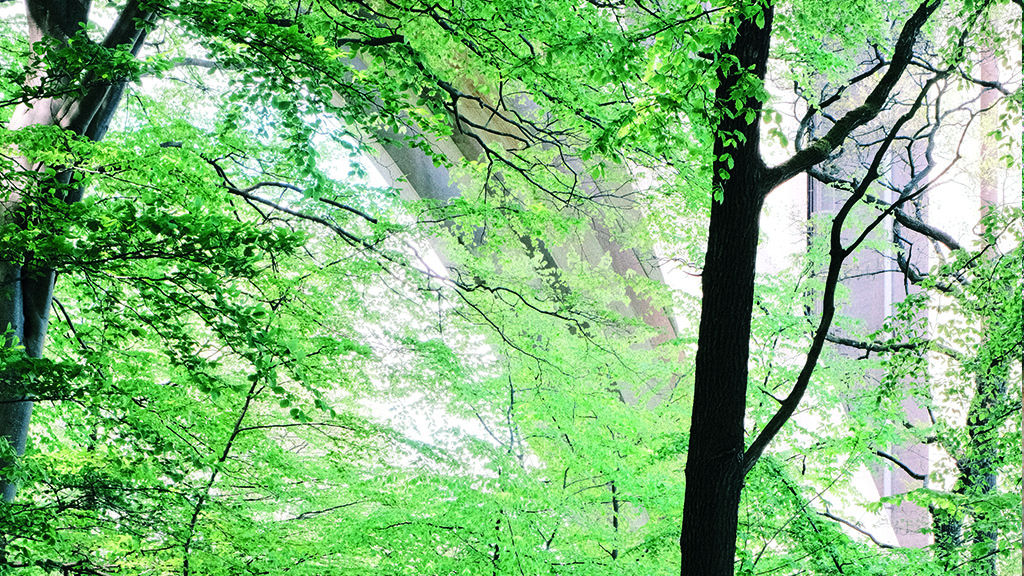 you can glimpse the old Little Belt Bridge through the trees