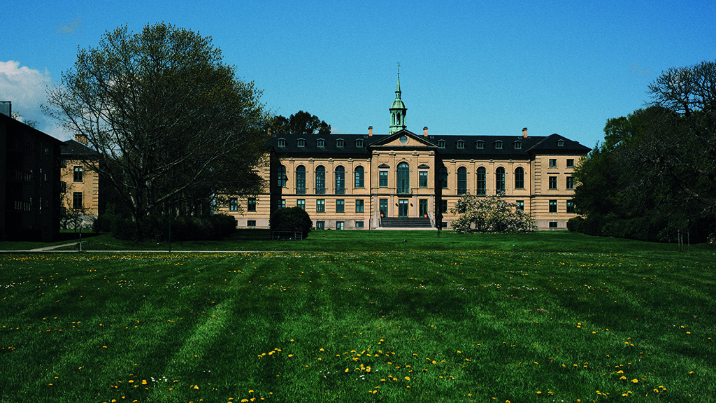 Teglgårdsparken, grøsset er nyslået og små mælkebøtter titter frem. Der er en stor gul bygning i baggrunden