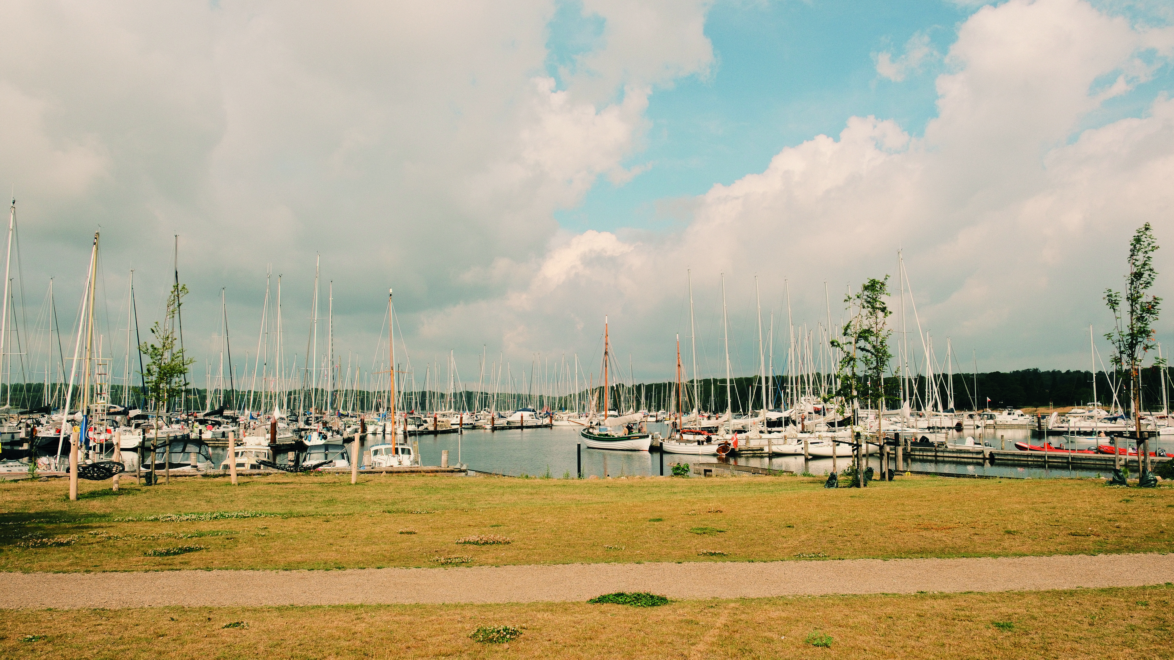 i forgrunden er brunt græs og bagved et havnen fyldt med sejlbåde. det er en sommerdag