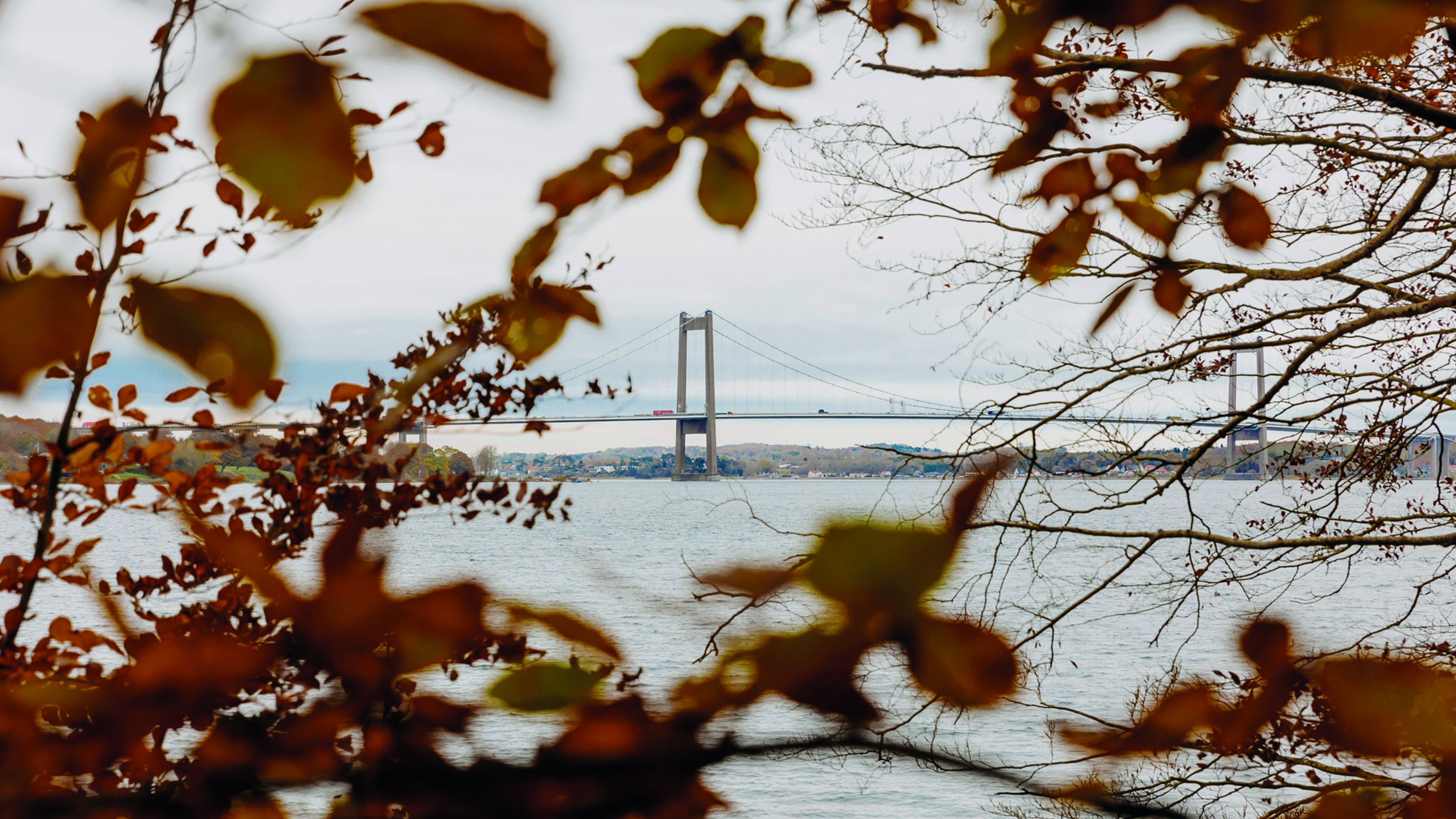 The new Little Belt Bridge in autumn colors