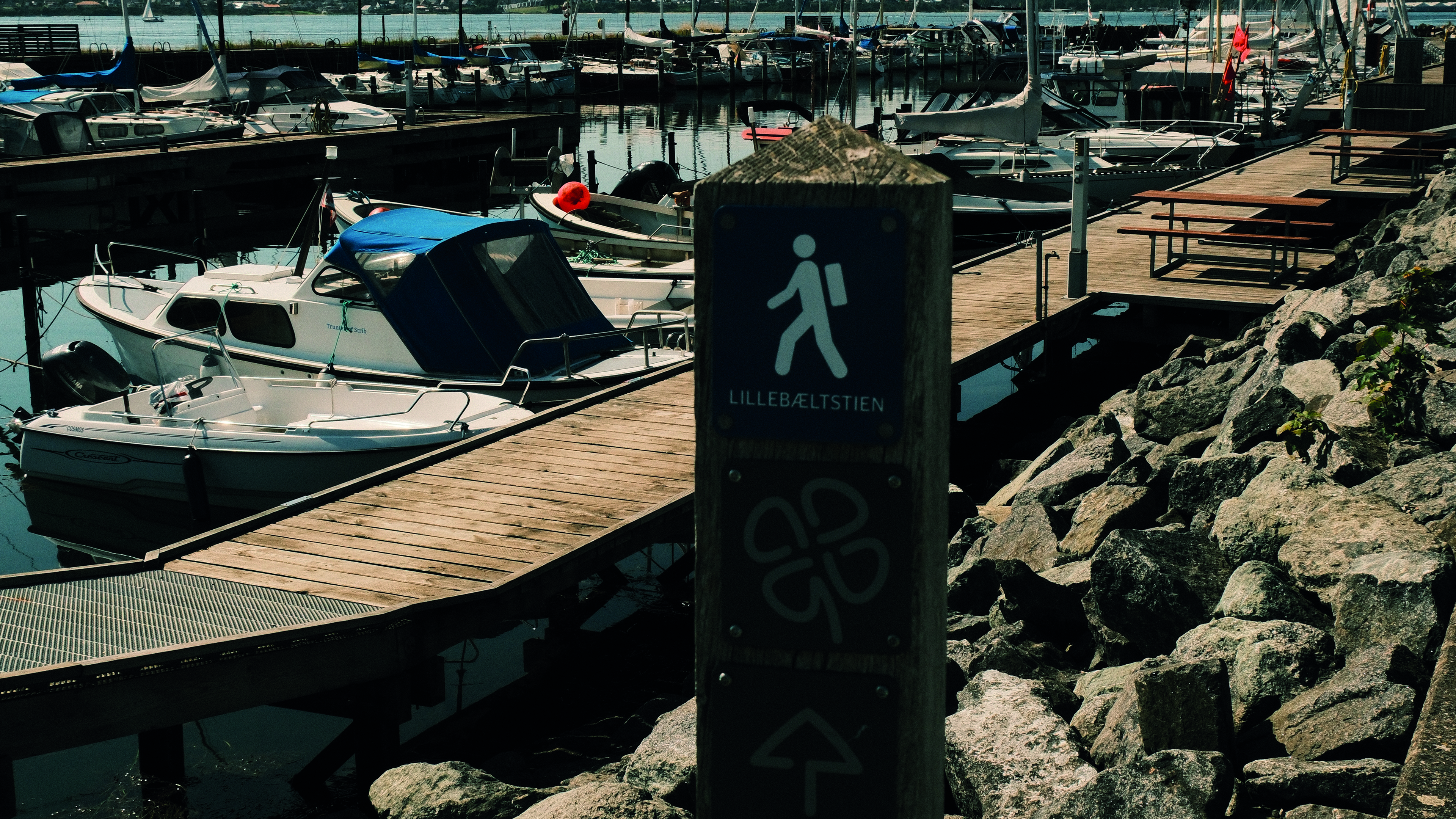 Strib boat harbor