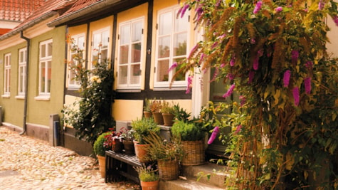 Den gamle bydel i Middelfart. Smukke gamle farvede byhuse