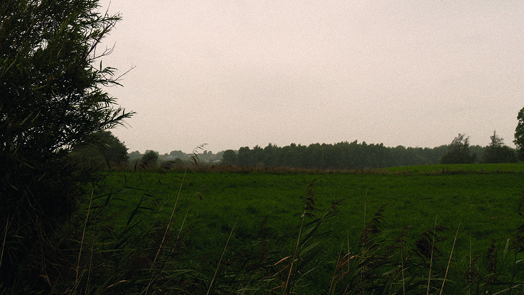 view over a field in Ejby Mose