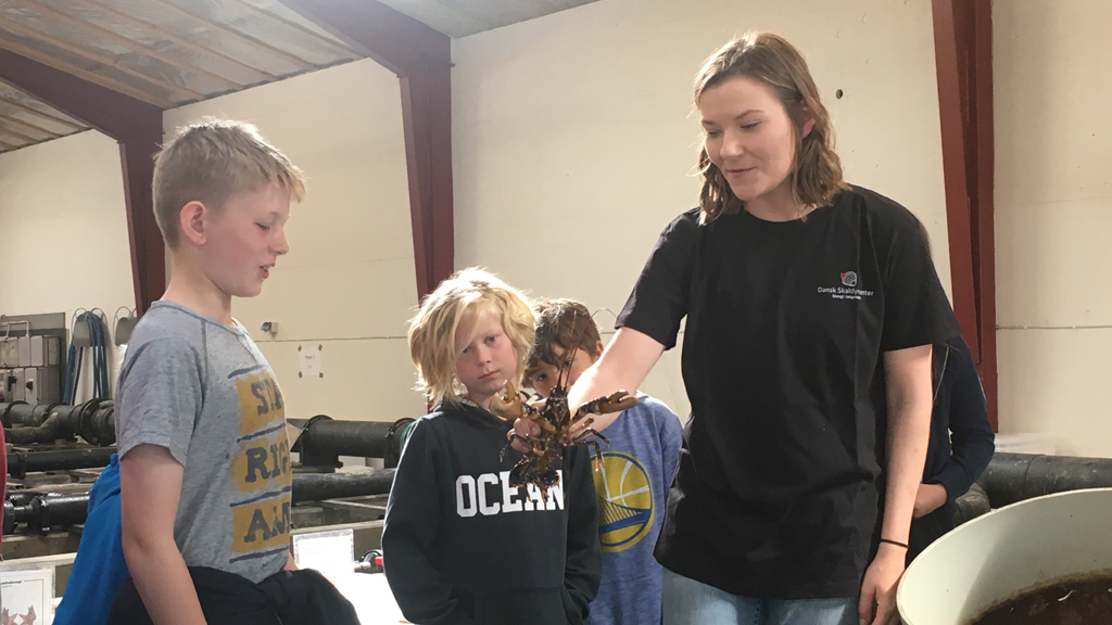 Danish Shellfish Centre