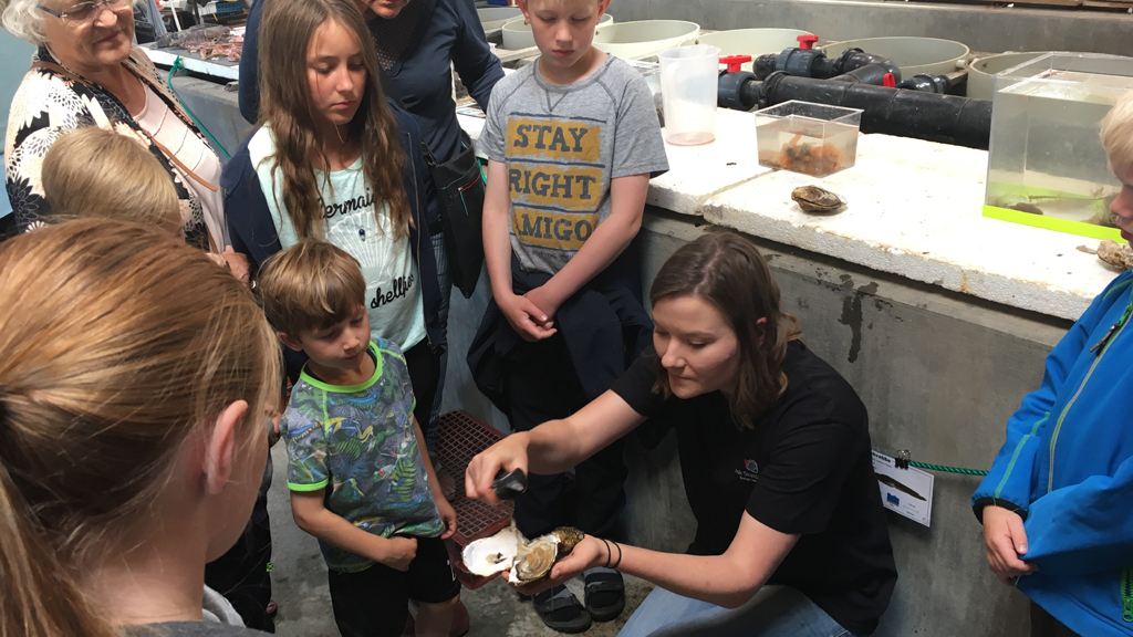 Danish Shellfish Centre