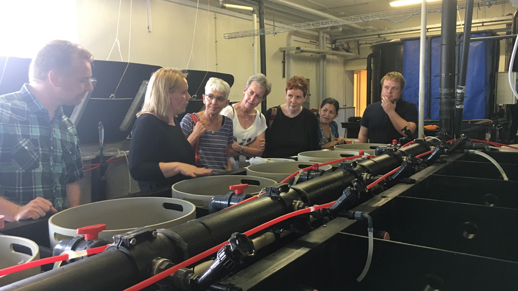 Danish Shellfish Centre