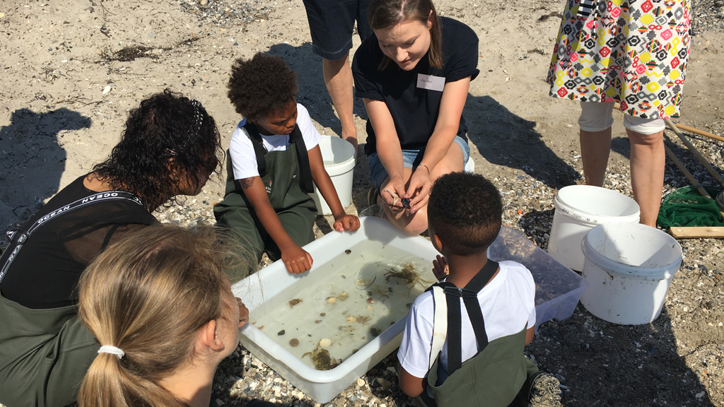 Danish Shellfish Centre