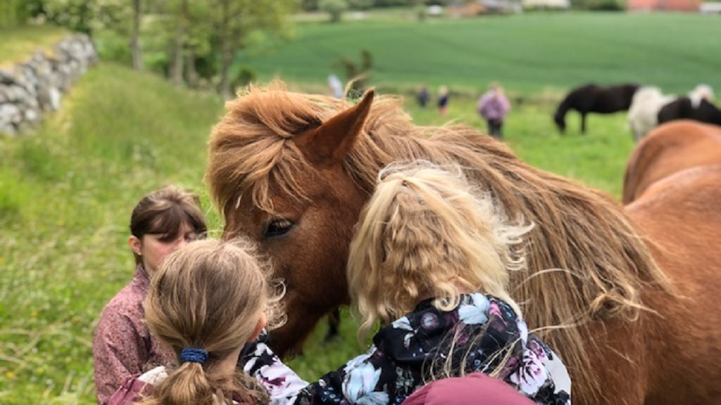 Morsø Friluftscenter