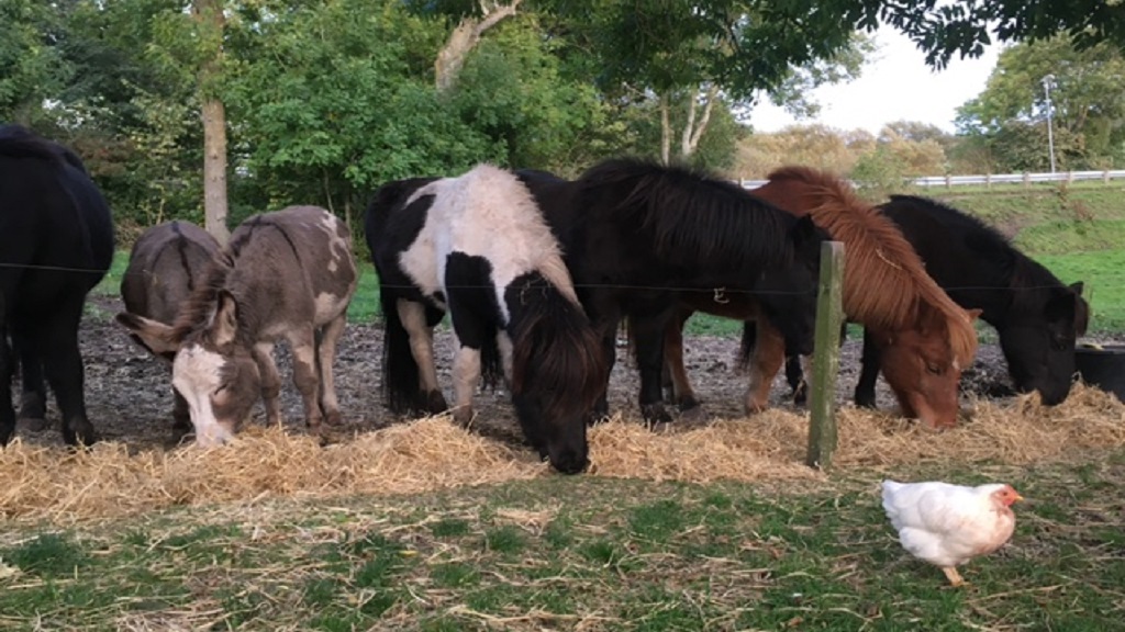 Morsø Friluftscenter
