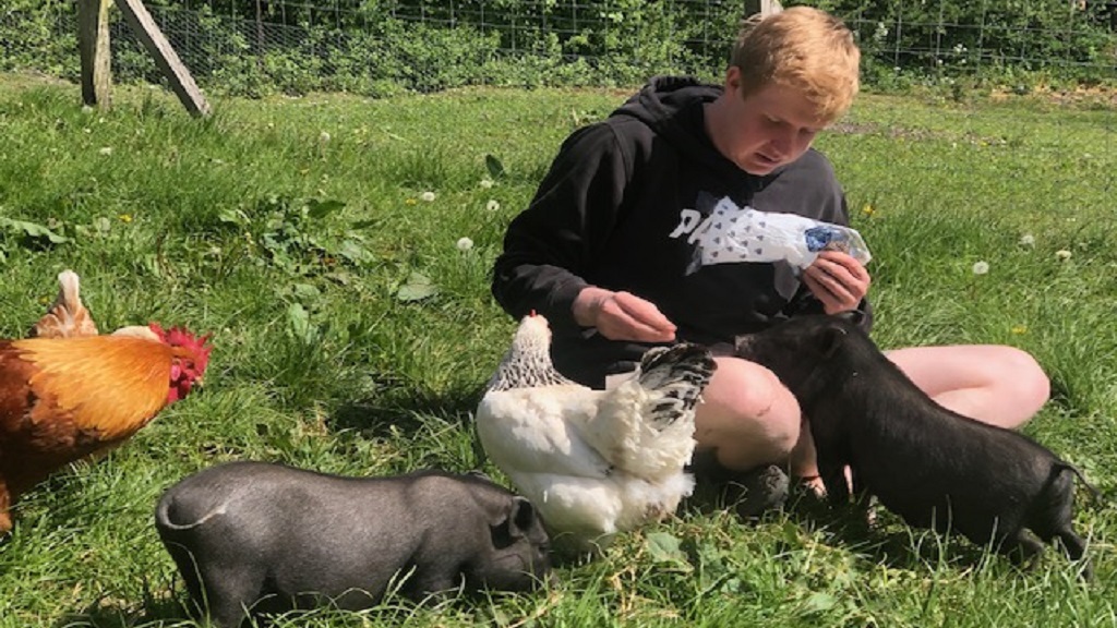 Morsø Friluftscenter