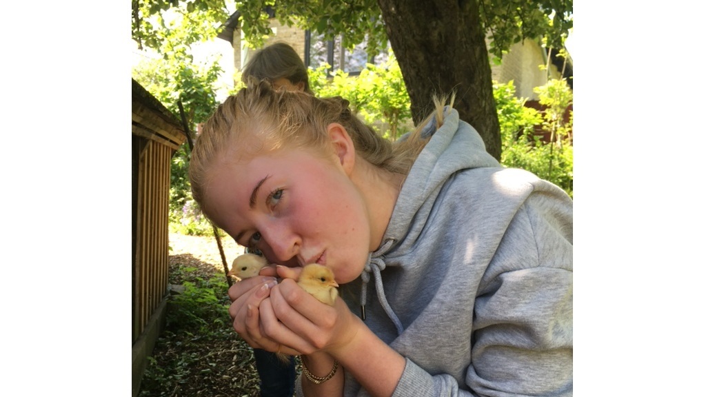 Morsø Friluftscenter