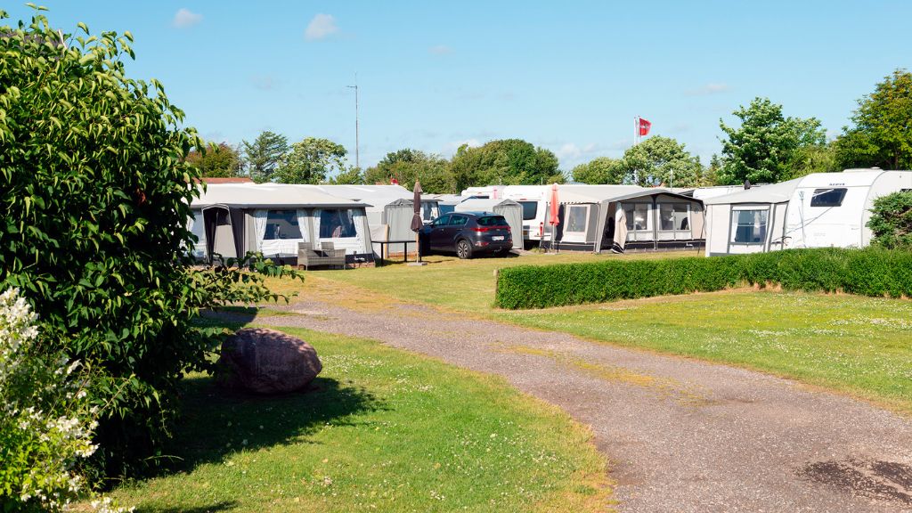 Vildsund Camping - Campingpladsen