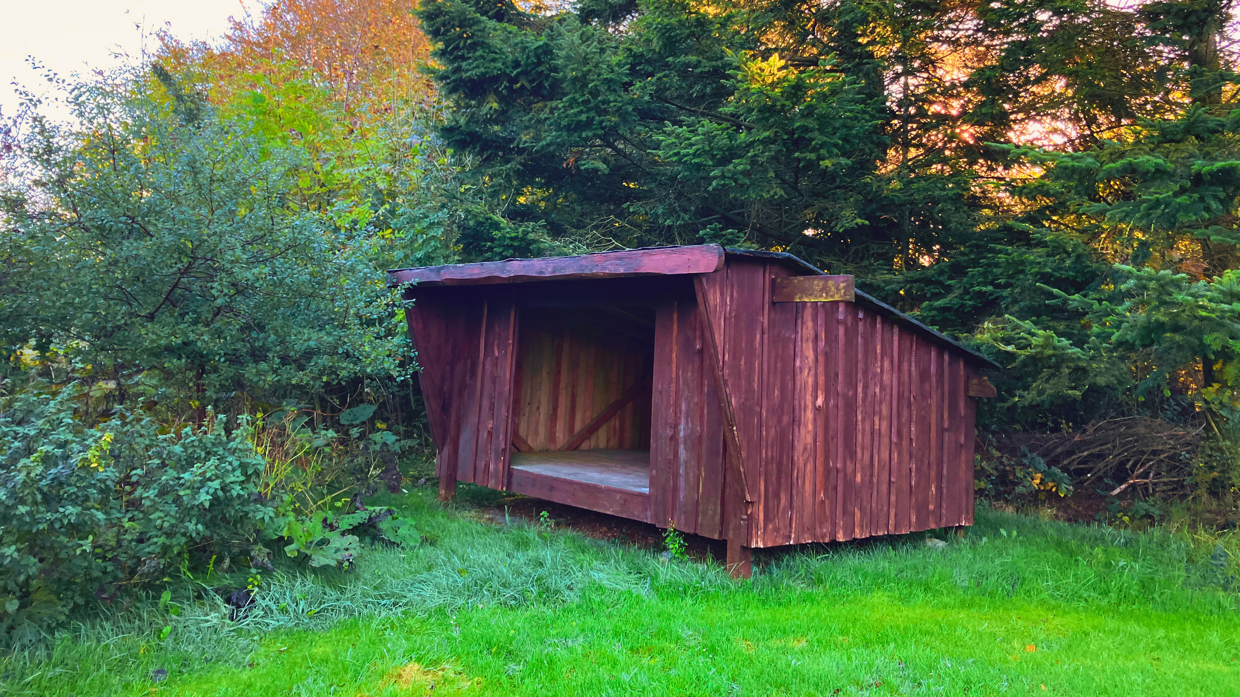 Shelter