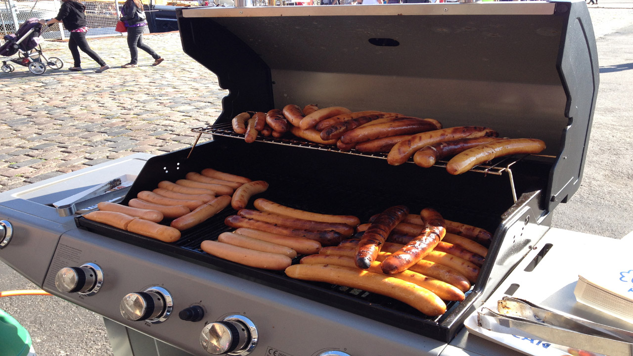 Træskibssejlads - Limfjorden Rundt