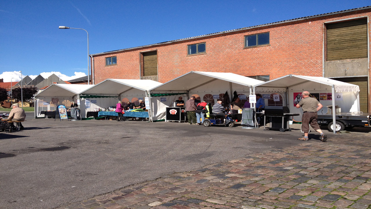 Træskibssejlads - Limfjorden Rundt