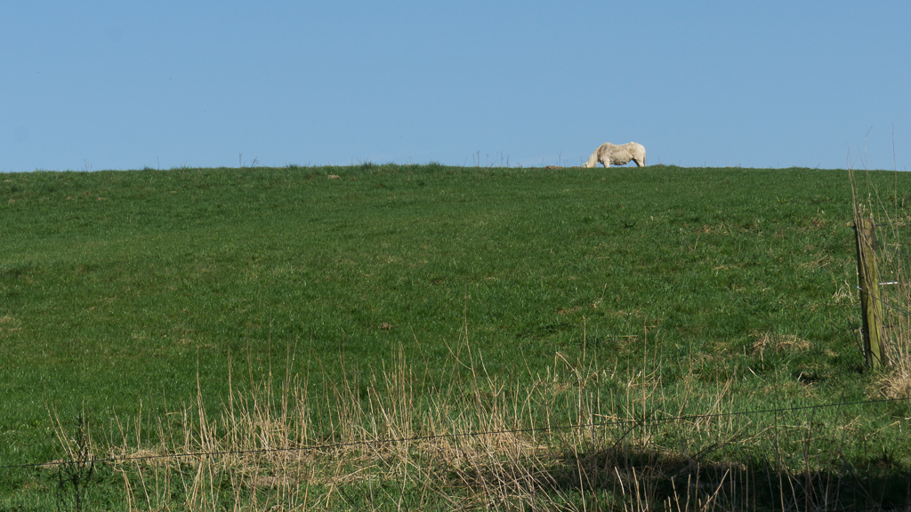 Hjortsølund Bed and Breakfast