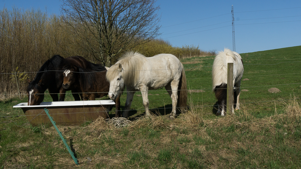 Hjortsølund Bed and Breakfast
