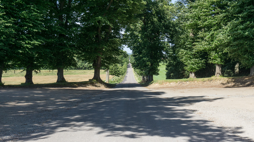 Rosenfeldt Gods - Rooms