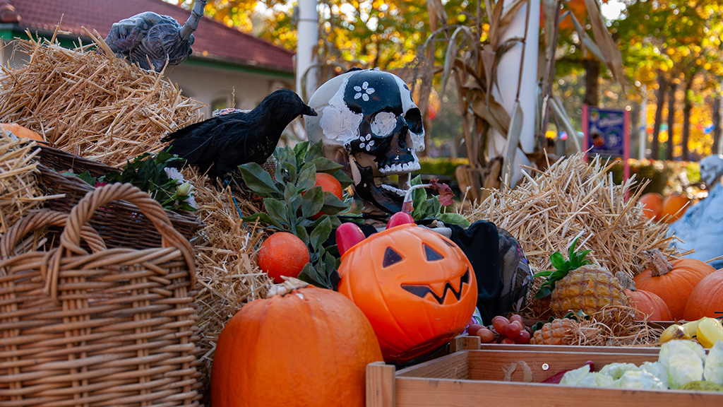 Halloween in BonBon-Land