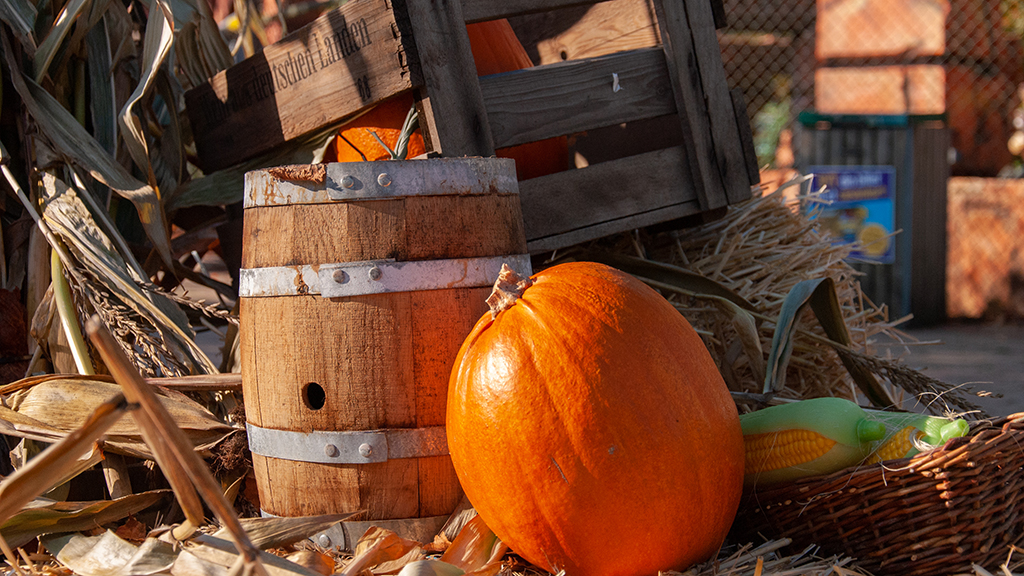 Halloween in BonBon-Land