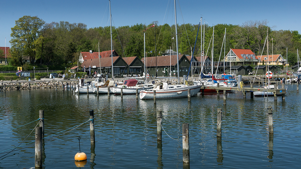 Panorama Route 425 – Fjord & Fossils
