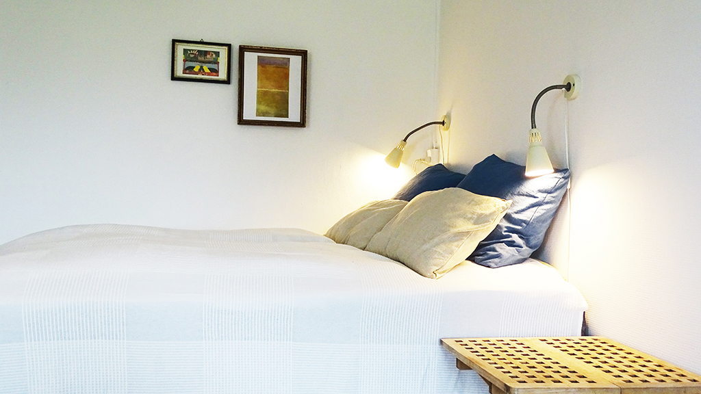 Camønogaarden - a part of Dark Sky