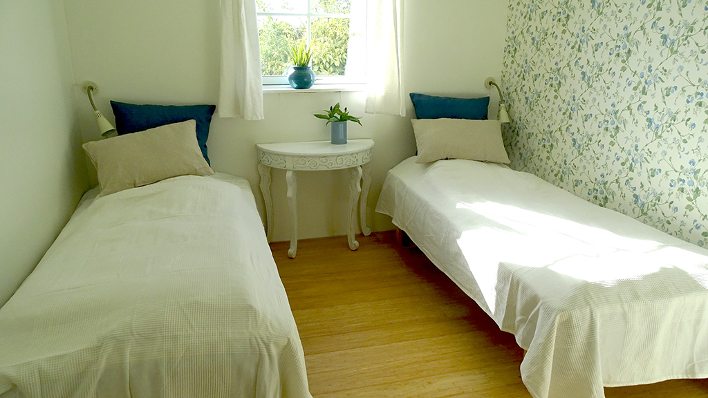 Camønogaarden - a part of Dark Sky