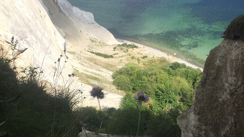 Camønogaarden - a part of Dark Sky