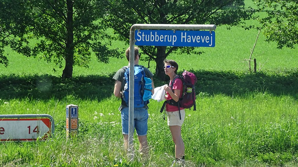 Camønogaarden - a part of Dark Sky