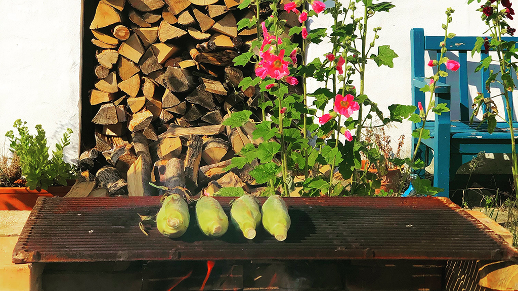 Camønogaarden - a part of Dark Sky