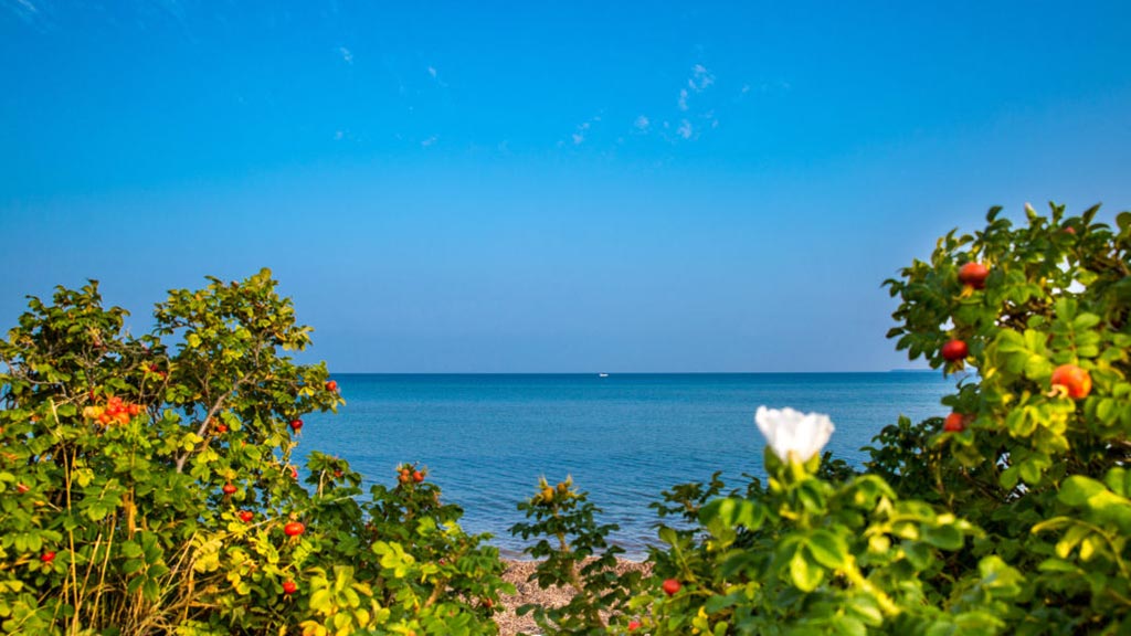 Strandhuset Caroline