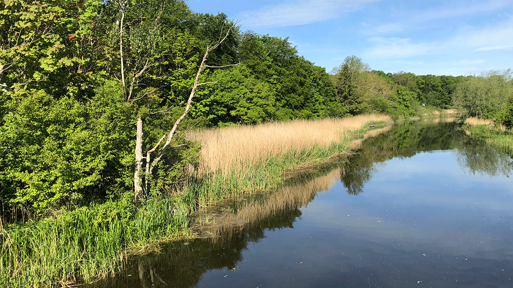 Visit Sydsjælland & Møn