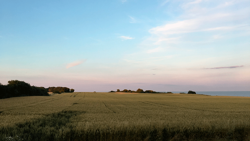 Studiegården boutique B&B