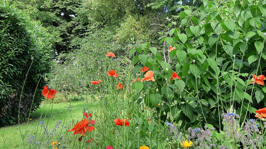 Friggeboden Holiday House