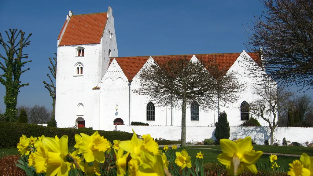 Mern kirke med påskeliljer - Claudia Ziehm