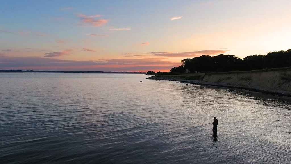 Udsigt over vandet på Møn