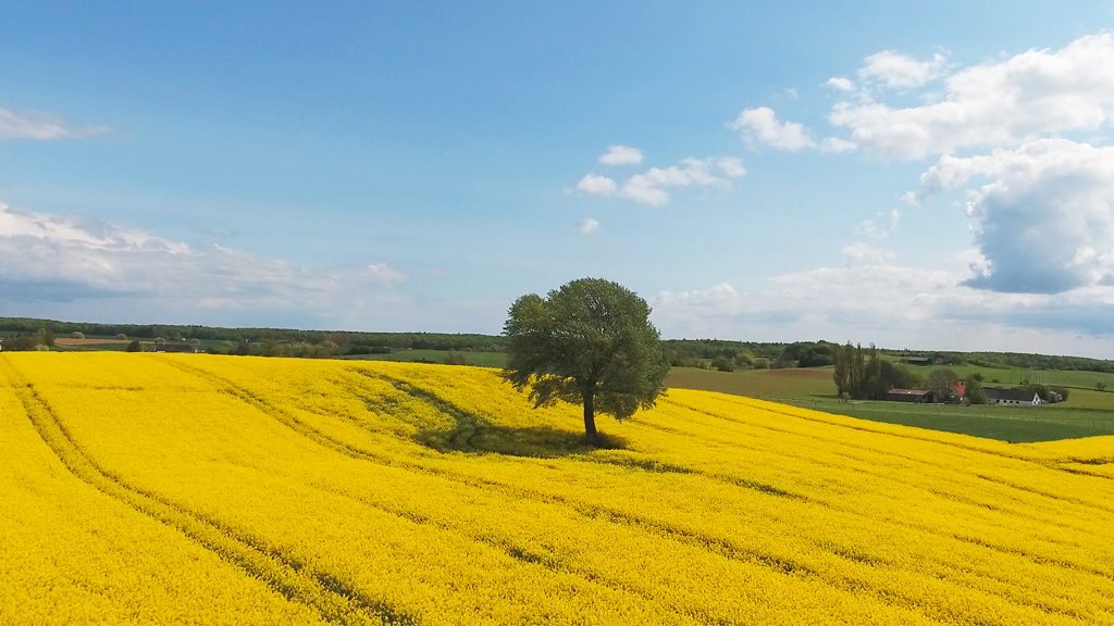 Vestmøn Saftstationen