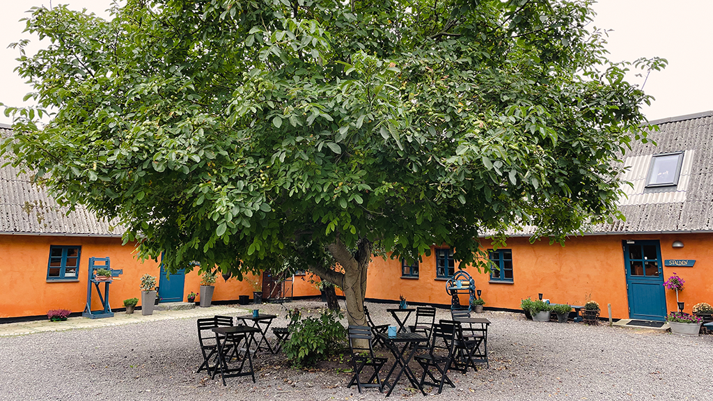 Stevns Klint Bed & Breakfast