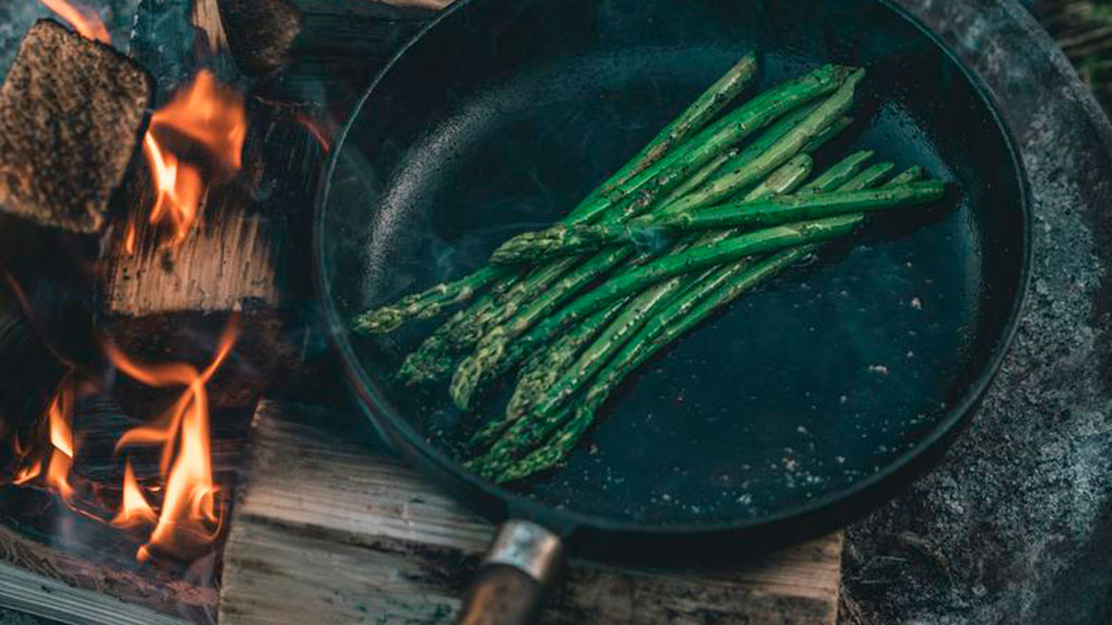 Camp Møns Klint - Land Roveren
