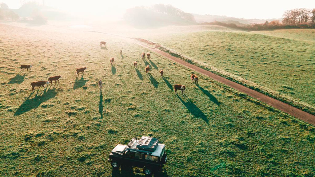 Camp Møns Klint - Land Roveren