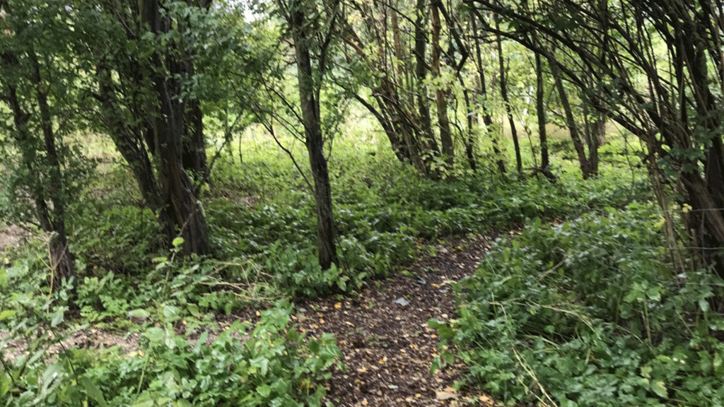 Shelter nær Næstved