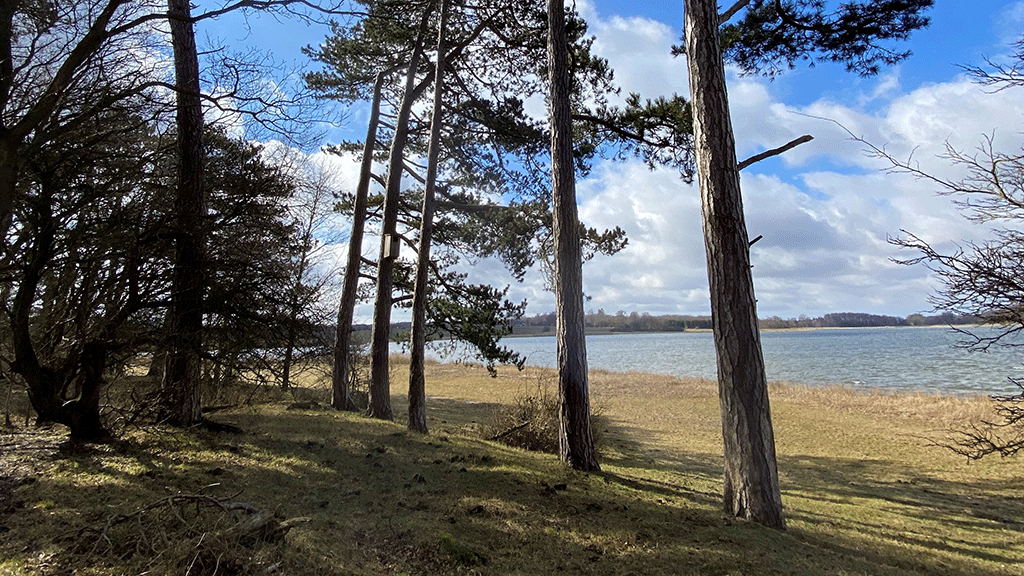 Visit Sydsjælland & Møn