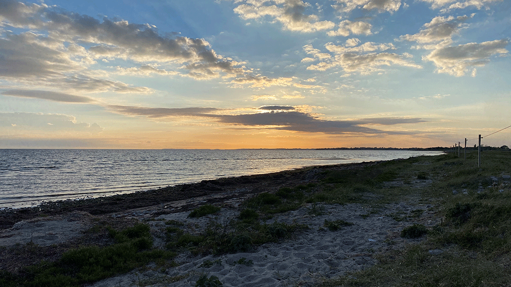 Visit Sydsjælland & Møn