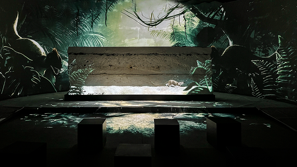 Turistinformation Stevns Klint Experience