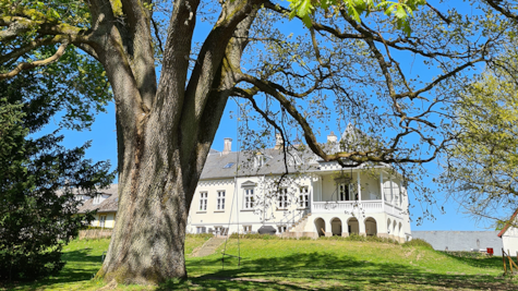 Kunstgalleri på Hesede Hovedgård