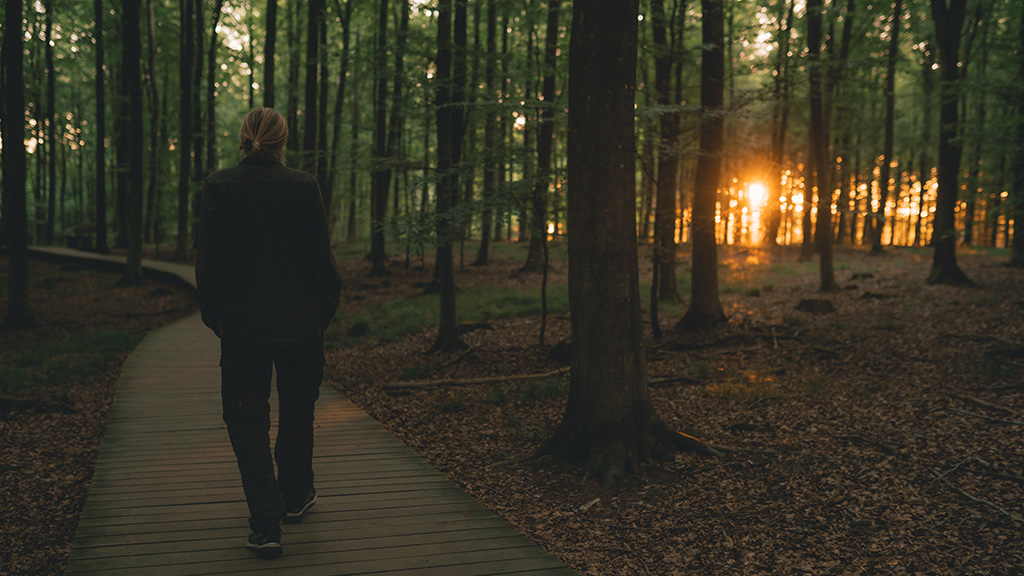 Tourist Information Camp Adventure