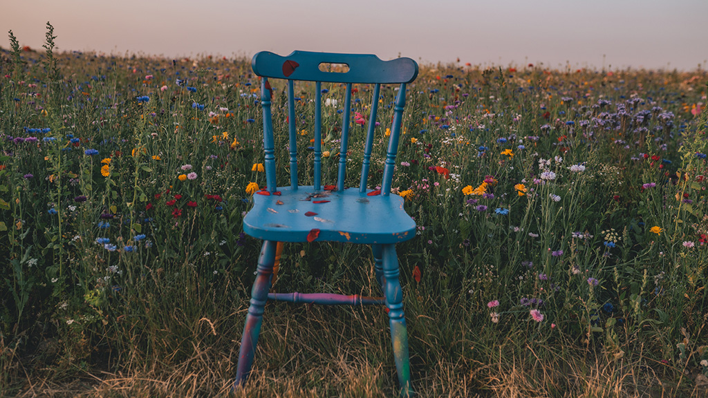 Tourist Information Camp Adventure