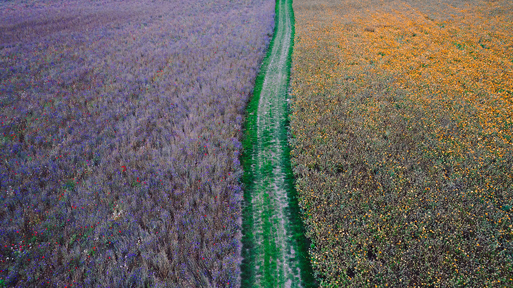 Tourist Information Camp Adventure